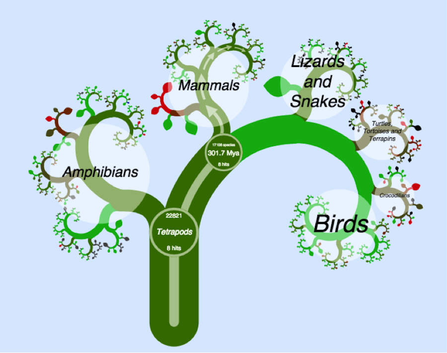 Figure 1.1. A small section of the tree of life showing the relationships among tetrapods, from OneZoom (Rosindell and Harmon 2012). This image can be reused under a CC-BY-4.0 license.