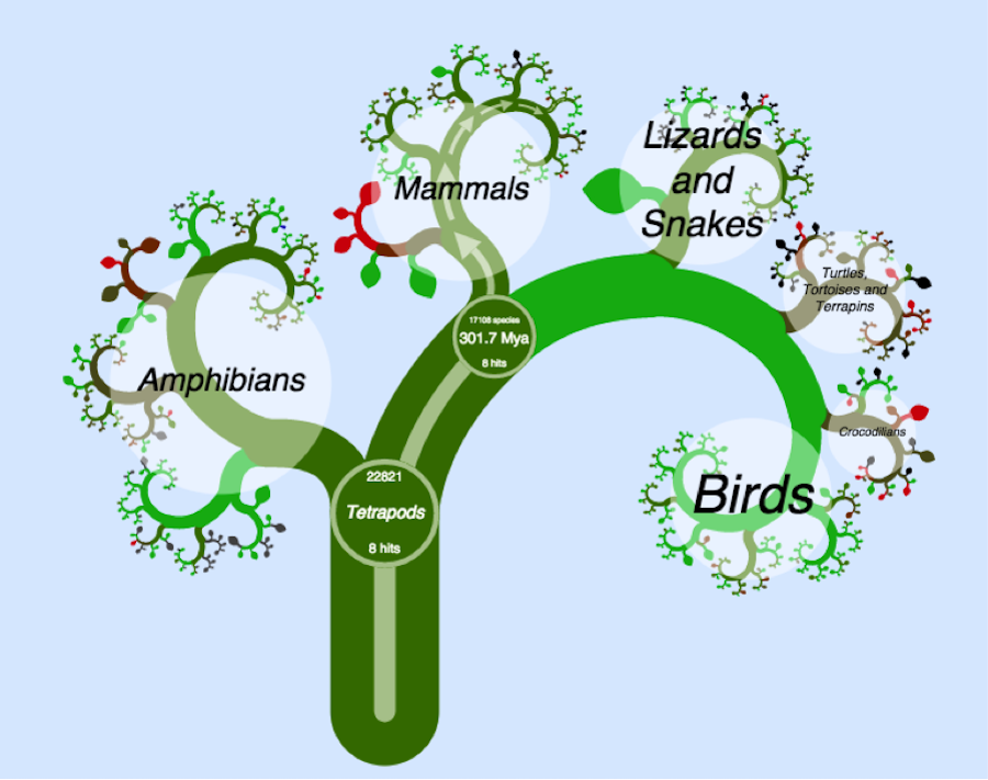 Introduction · Phylogenetic Comparative Methods