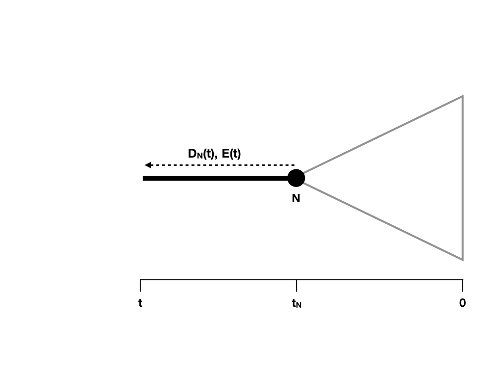 Figure 11.6. Updating D_N(t) and calculating E(t) along a tree branch. Image inspired by Maddison et al. (2007) and created by the author, can be reused under a CC-BY-4.0 license.
