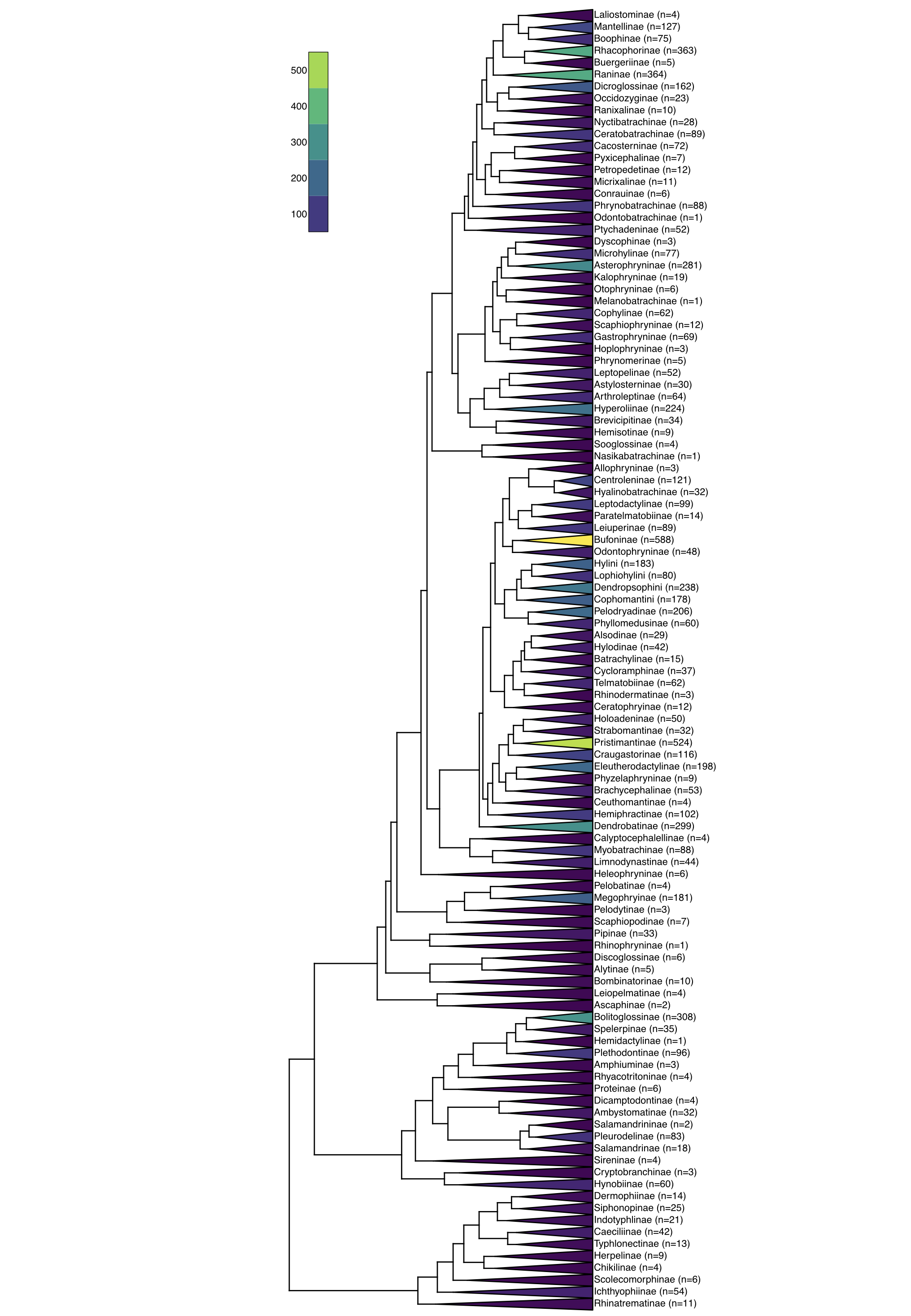 Figure 12.3. Phylogenetic tree of amphibians with divergence times and diversities of major clades. Data from Jetz and Pyron (Jetz and Pyron 2018). Image by the author, can be reused under a CC-BY-4.0 license.