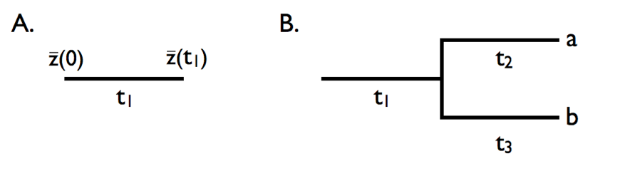 Figure 3.4. Brownian motion on a simple tree. A. Evolution in a single lineage over time period t_1. B. Evolution on a phylogenetic tree relating species a and b, with branch lengths as given by t_1, t_2, and t_3. Image by the author, can be reused under a CC-BY-4.0 license.